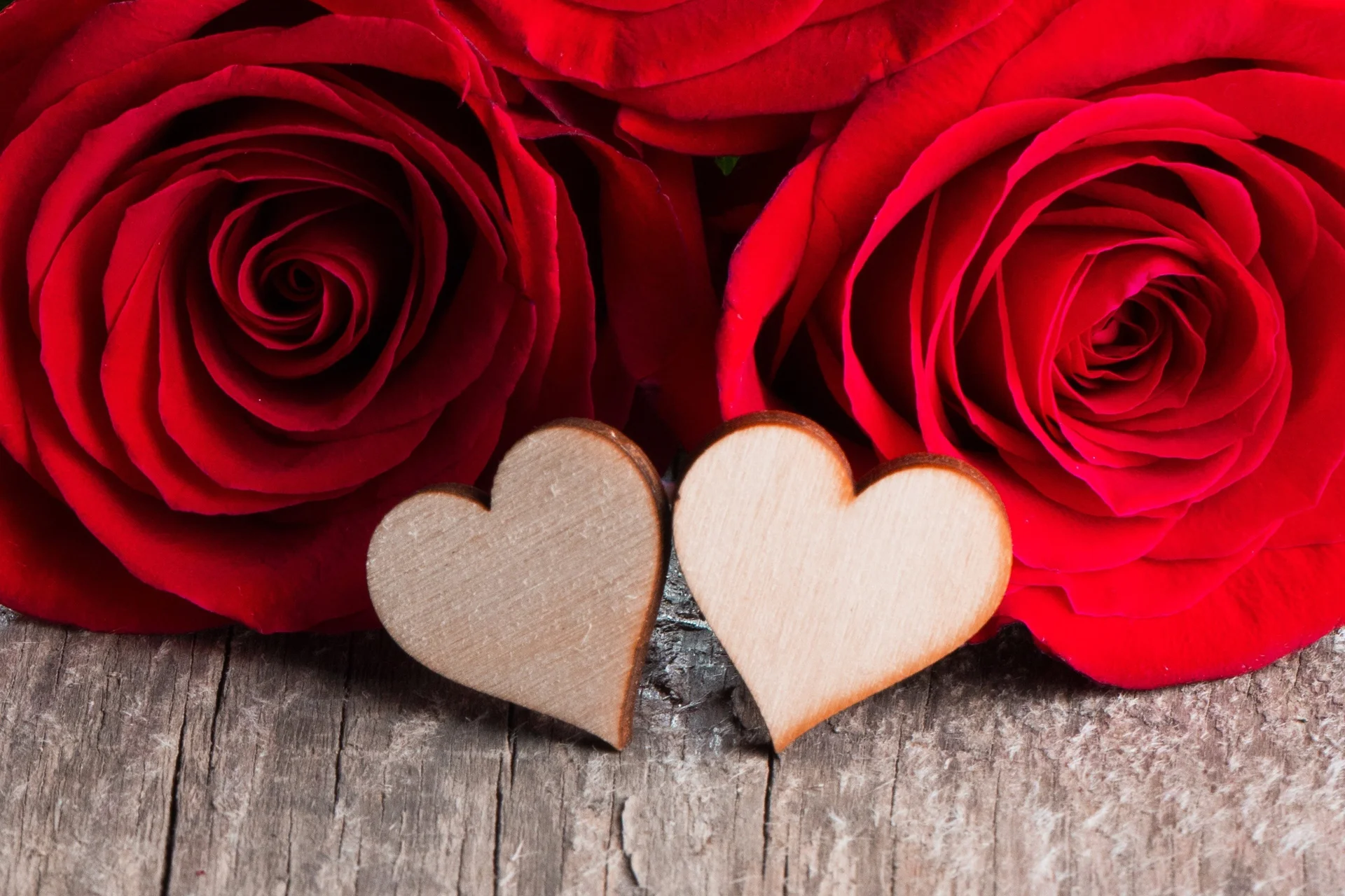Rote Rosen und zwei Holzherzen